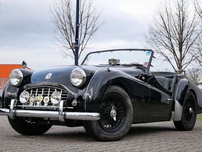 gebraucht Triumph TR3 Schaltgetriebe Top Zustand