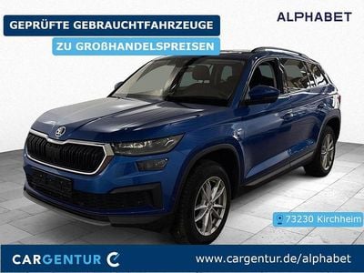 Blau Gebraucht 2021 Skoda Kodiaq Clever SUV | 25.590 € (Guter Preis)