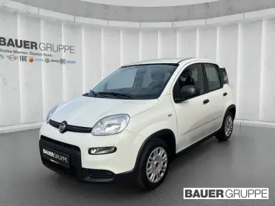 Gebraucht Fiat Panda 69 PS (50 kW) 2023 Weiss) (weiss Kleinwagen