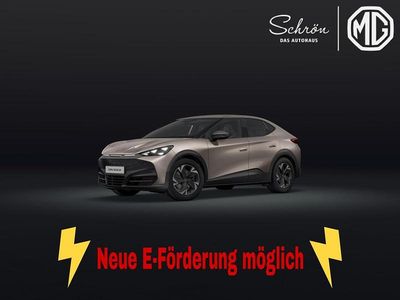 Neu Cupra Tavascan Endurance 210 kW (286 PS) 2026 SUV