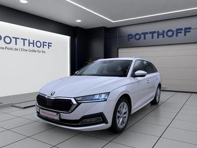 Gebraucht Skoda Octavia Style 116 PS (85 kW) 2023 Candyweiss Kombi