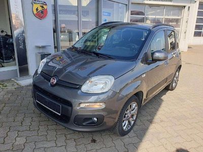 Gebraucht Fiat Panda Lounge 69 PS (50 kW) 2020 Colore esterno (colosseo grau) Kleinwagen