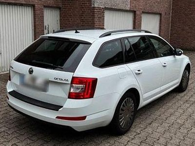 Gebraucht Skoda Octavia 150 PS (110 kW) 2016 Weiß Kleinwagen