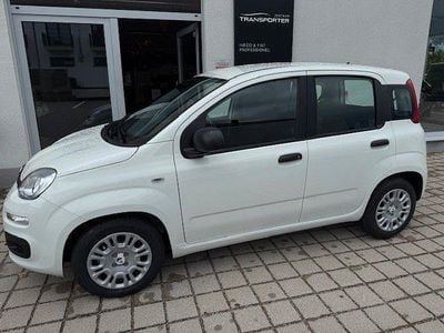 Weiß Neu 2025 Fiat Panda Kleinwagen | 13.490 € (Guter Preis)