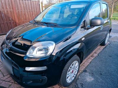 gebraucht Fiat Panda von 12/ 2019 Top Zustand 53.000 km