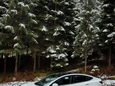 Gebraucht Tesla Model 3 366 kW (498 PS) 2022 Weiß Limousine