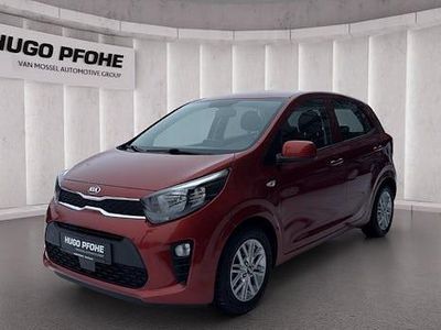 Usata Kia Picanto Edition 7 67 CV (49 kW) 2020 Arancione Utilitaria