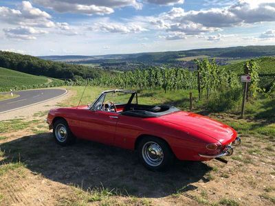 gebraucht Alfa Romeo Spider 