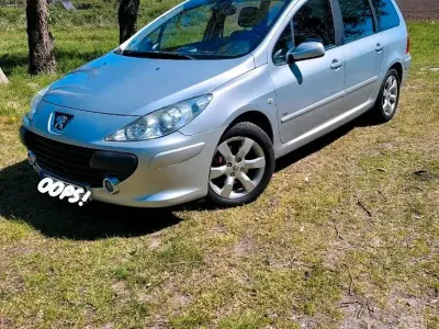 Gebraucht Peugeot 307 109 PS (80 kW) 2005 Grau Kombi