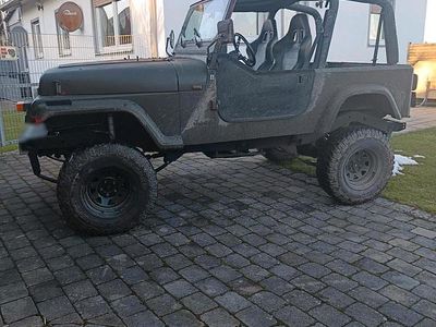 Gebraucht Jeep Wrangler 100 PS (73 kW) 1993 Grün SUV