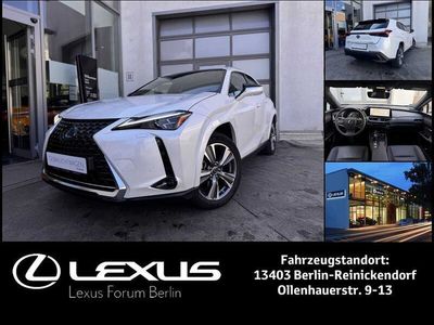 Lexus UX 300e