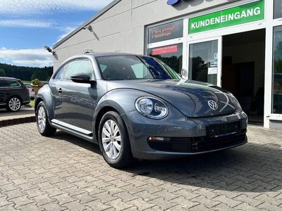 VW Beetle