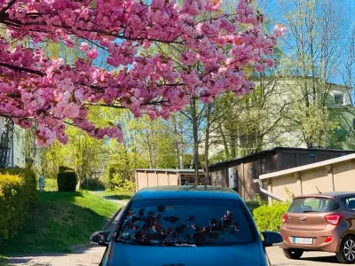 Gebraucht VW Golf
