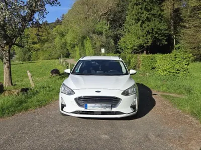 Gebraucht Ford Focus 150 PS (110 kW) 2019 Weiß Kombi