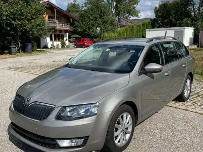 Gebraucht Skoda Octavia Elegance 105 PS (77 kW) 2014 Beige Kombi