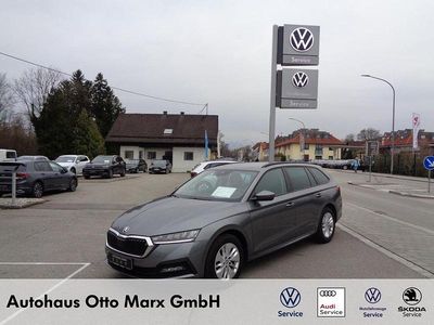 Usata Skoda Octavia Ambition 116 CV (85 kW) 2023 Grigio Station wagon