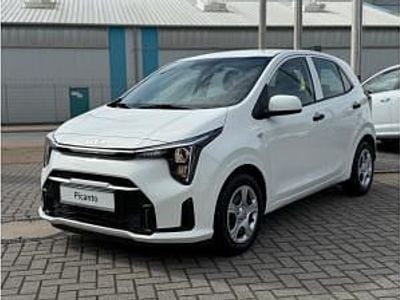 Neu Kia Picanto 63 PS (46 kW) 2025 Weiß Kleinwagen