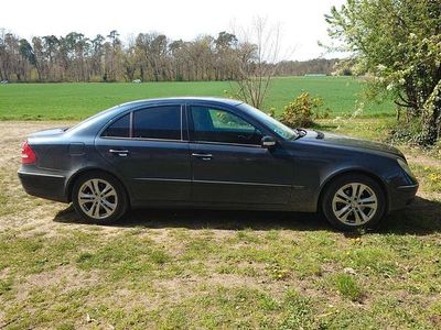 Gebraucht Mercedes E220