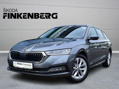 Gebraucht Skoda Octavia Style 150 PS (110 kW) 2024 Othercolor Kombi