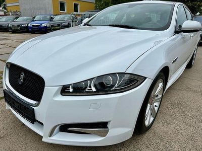 Gebraucht Jaguar XF 163 PS (119 kW) 2011 Weiß Limousine
