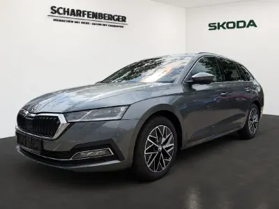 Gebraucht Skoda Octavia Style 150 PS (110 kW) 2024 Grau Kombi