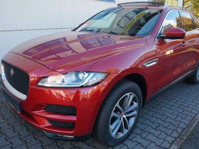 gebraucht Jaguar F-Pace 20d PanoramaSchiebedach Alcantara AHK 19"