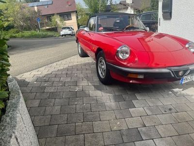 gebraucht Alfa Romeo Spider 