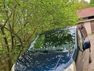 Gebraucht Nissan Evalia