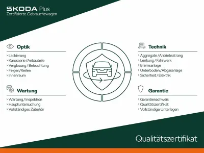Gebraucht Skoda Kamiq Style 150 PS (110 kW) 2023 Grau SUV