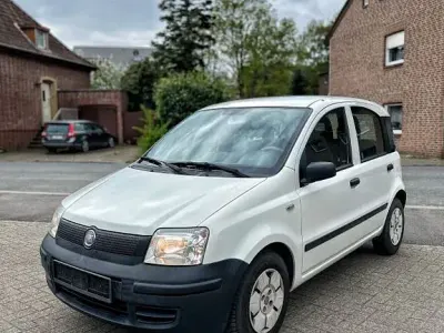 Gebraucht Fiat Panda Active 54 PS (39 kW) 2009 Weiß Kleinwagen