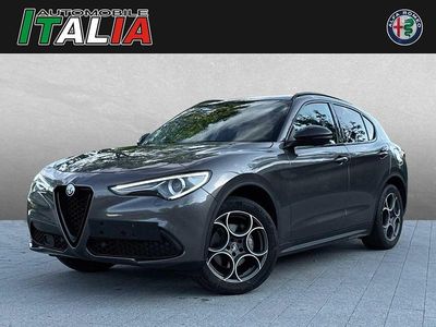 Grau Gebraucht 2019 Alfa Romeo Stelvio Tech Edition SUV | 25.810 €
