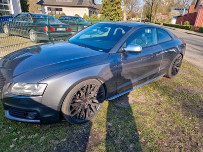 gebraucht Audi S5 v8 fsi sehr selten