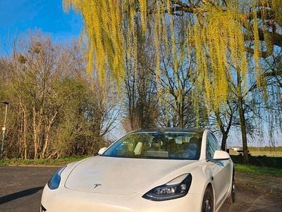 Gebraucht Tesla Model 3 Standard Range 208 kW (283 PS) 2020 Weiß Limousine