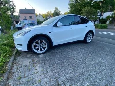 Occasion Tesla Model Y 274 kW (373 PK) 2021 Wit SUV