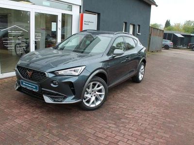 gebraucht Cupra Formentor 1,5 TSI DSG