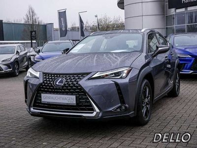 gebraucht Lexus UX 250h