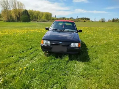 Gebraucht Ford Escort Cabriolet 73 PS (53 kW) 1986 Schwarz Cabrio