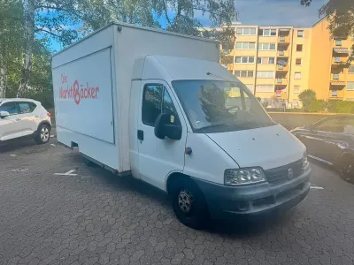 Gebraucht Fiat Ducato 129 PS (94 kW) 2003 Weiß Van