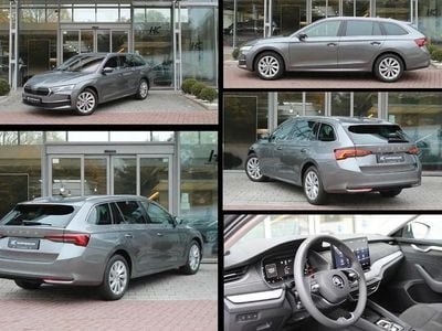 Gebraucht Skoda Octavia Selection 150 PS (110 kW) 2024 Grau Kombi