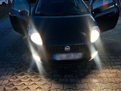 gebraucht Fiat Punto 