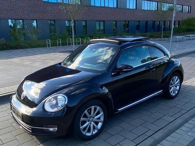 VW Beetle