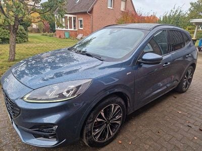 Gebraucht Ford Kuga ST-Line X 150 PS (110 kW) 2020 Blau SUV