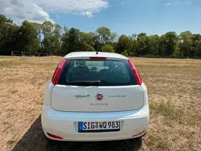 Gebraucht Fiat Punto