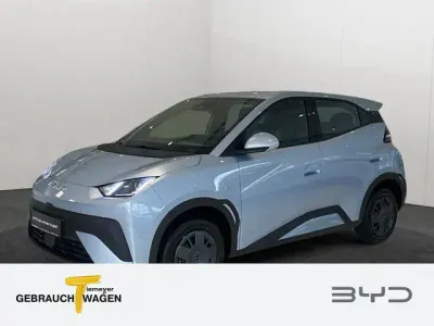 Brugt BYD Dolphin Surf