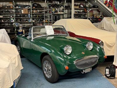 Grün Gebraucht 1961 Austin Healey Sprite Cabrio | 22.999 €