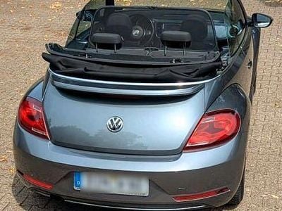 VW Beetle