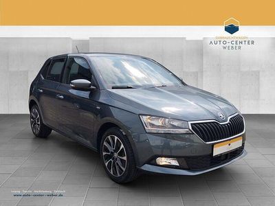 Gebraucht Skoda Fabia Drive 110 PS (80 kW) 2020 Grau Kleinwagen