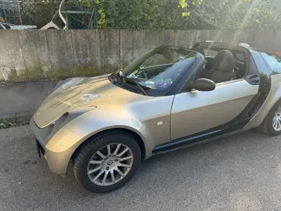 Usata Smart Roadster