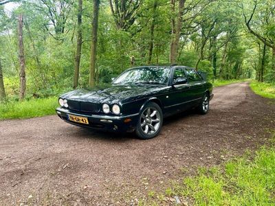 Jaguar XJ8