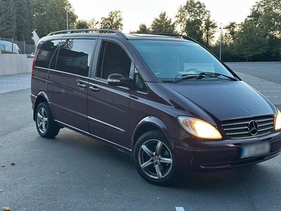 Mercedes Viano